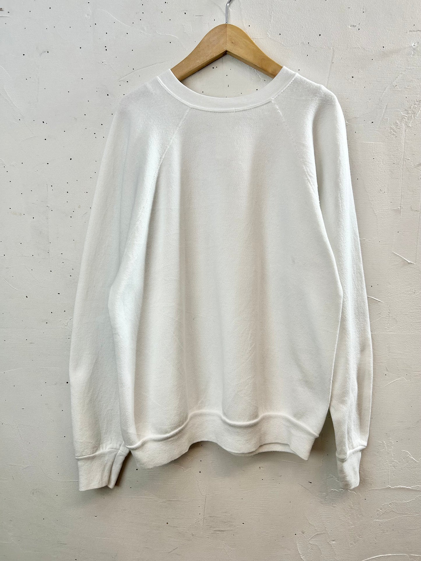 '80s Vintage Sweat MADE IN USA 〜Tultex〜 [L29204]