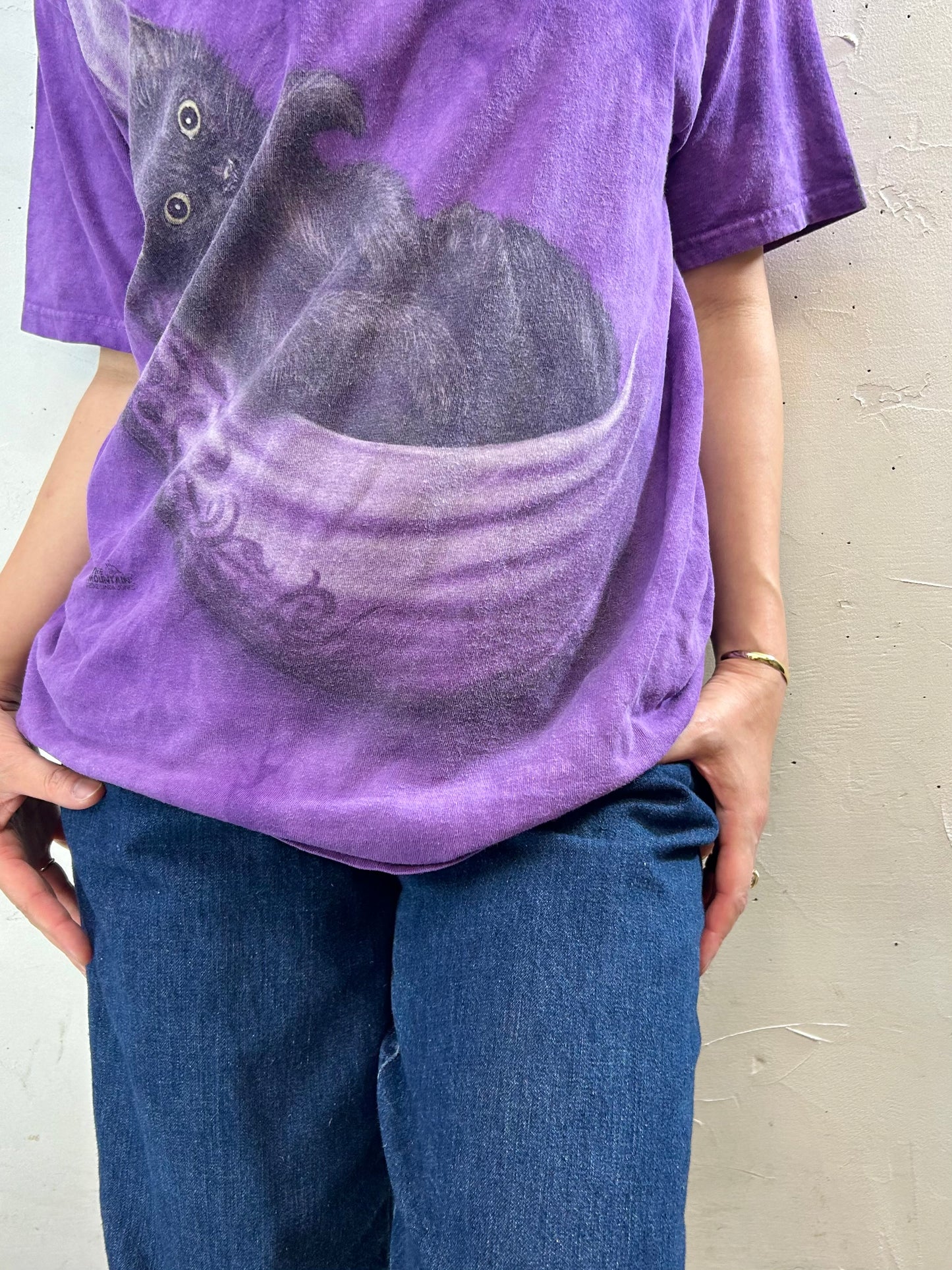 Vintage T-Shirt 〜THE MOUNTAIN〜 [F27643]