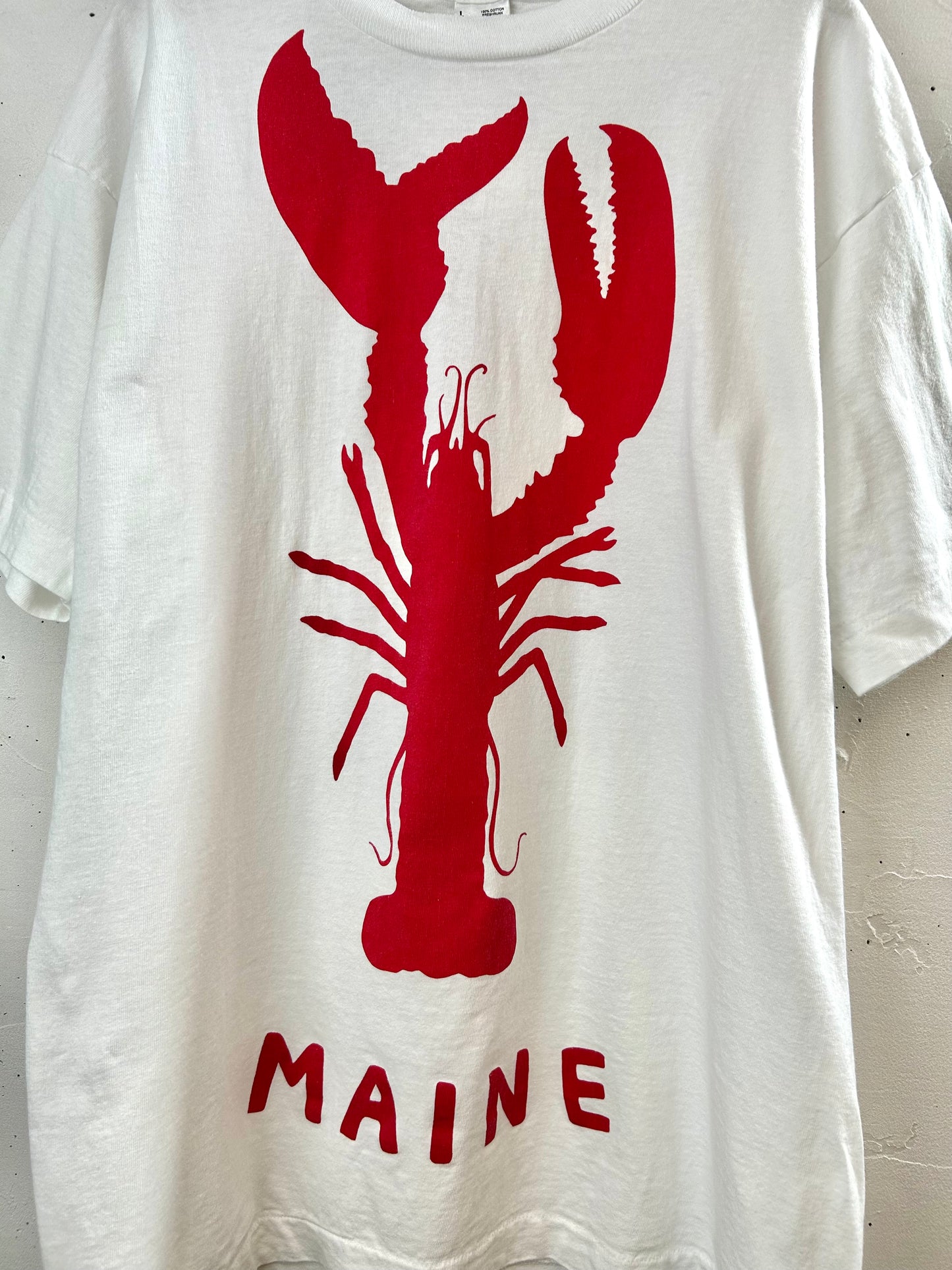 Vintage T-Shirt 〜FRUIT OF THE LOOM〜 [D30062]
