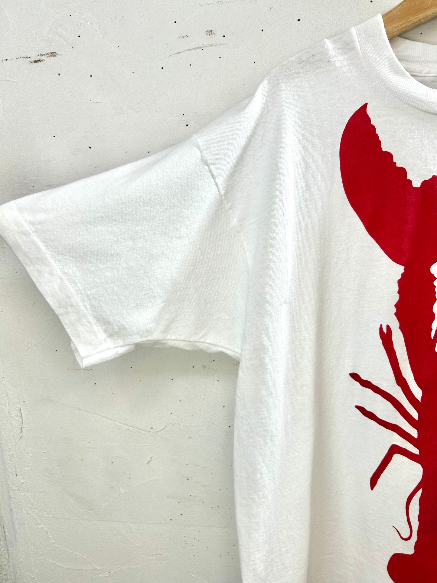 Vintage T-Shirt 〜FRUIT OF THE LOOM〜 [D30062]