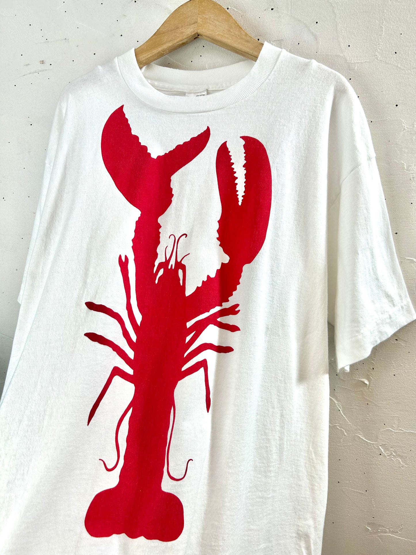 Vintage T-Shirt 〜FRUIT OF THE LOOM〜 [D30062]