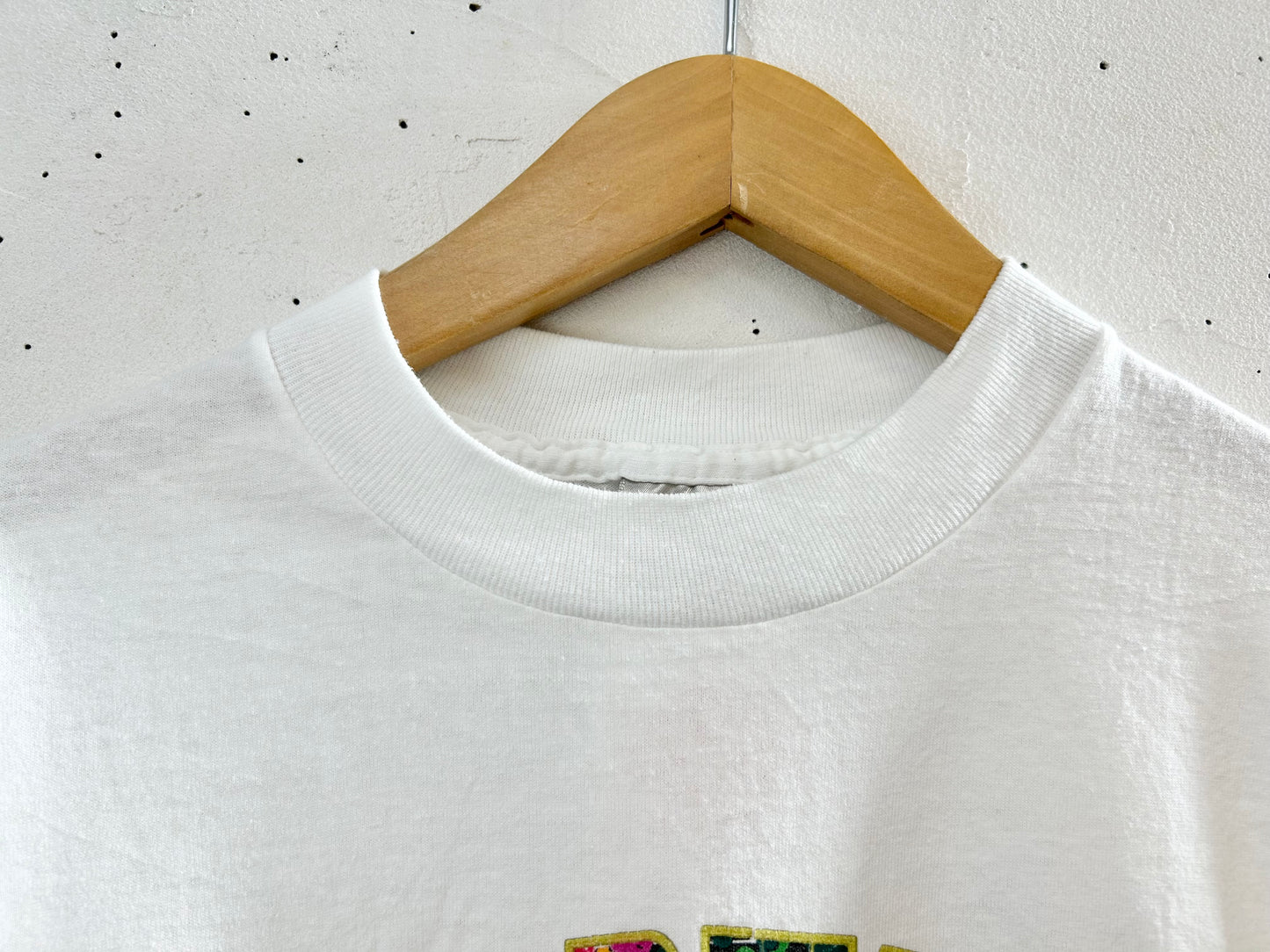 ’80s Vintage T-Shirt 〜ONEITA〜 [H28109]