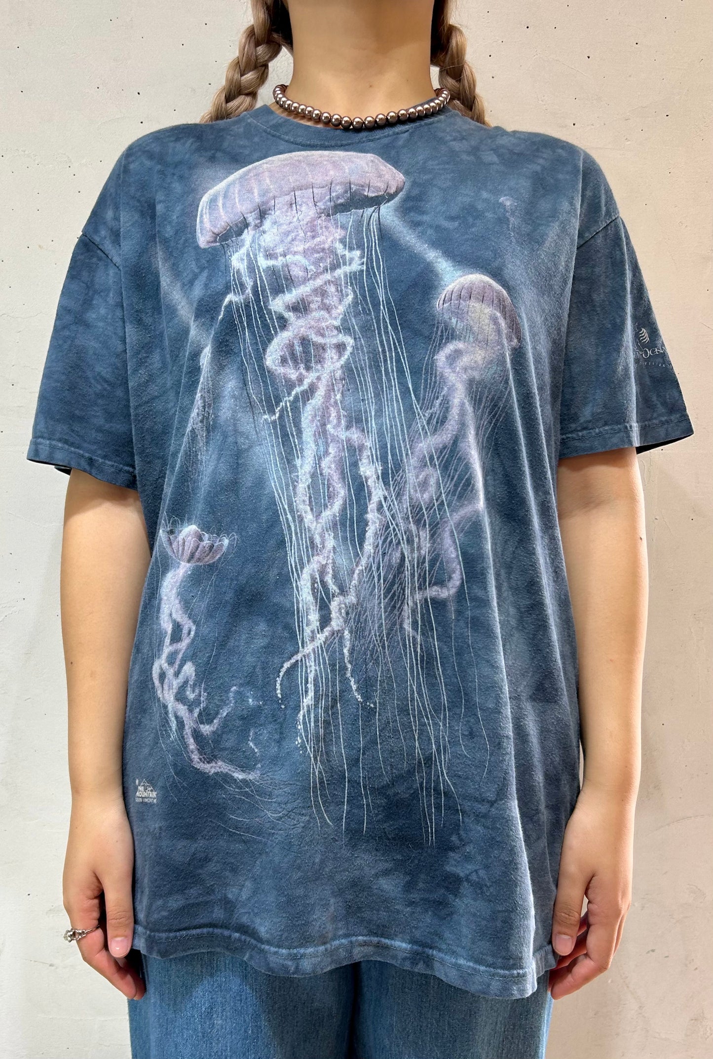 Vintage T-Shirt 〜THE MOUNTAIN〜 [D26784]