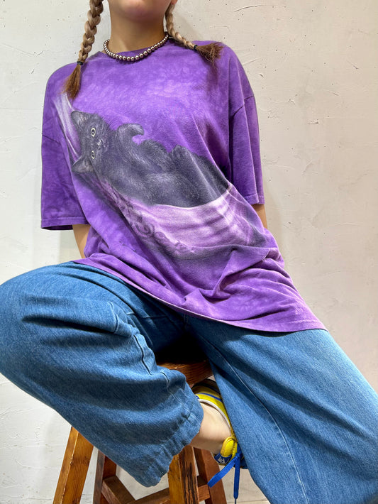 Vintage T-Shirt 〜THE MOUNTAIN〜 [D26782]