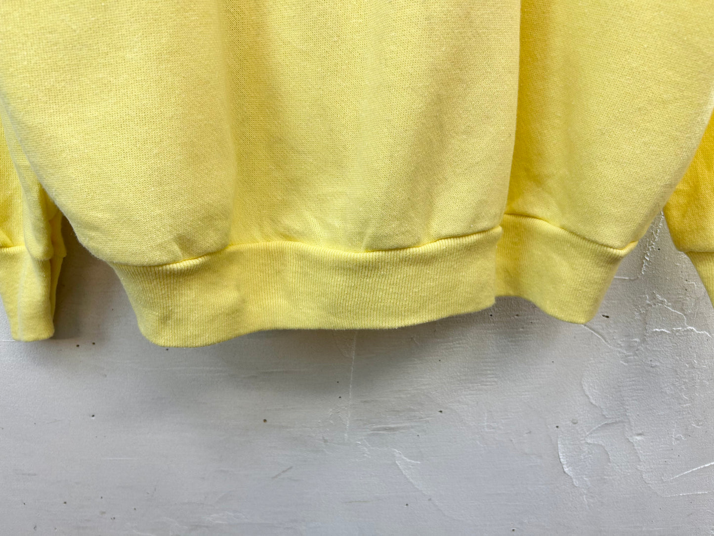 '80s Vintage Hand Painted Sweat MADE IN USA 〜Tultex〜 [C29637]
