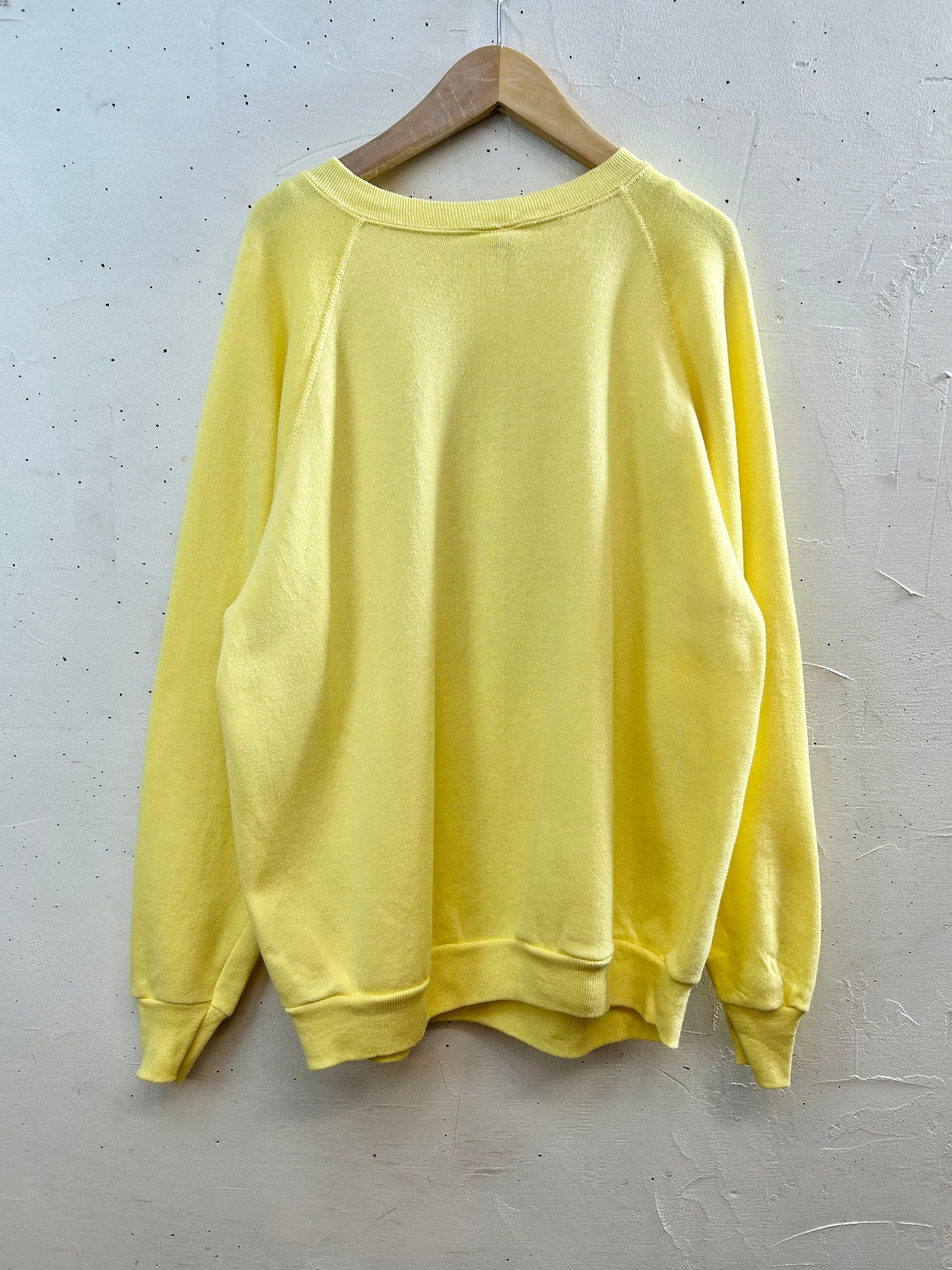 '80s Vintage Hand Painted Sweat MADE IN USA 〜Tultex〜 [C29637]