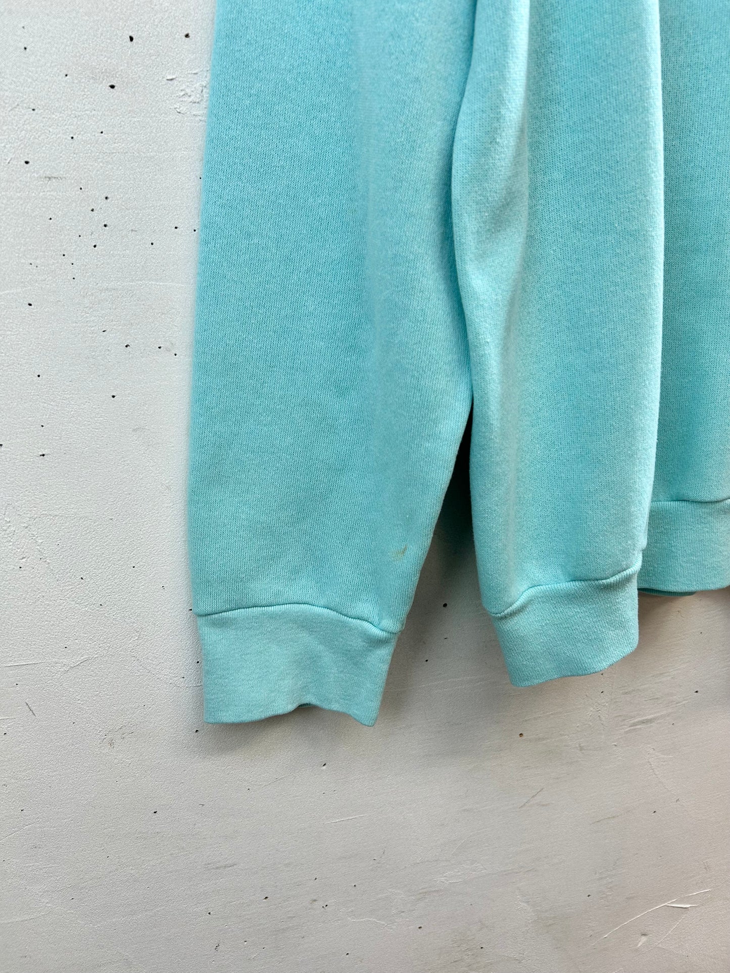 Vintage Sweat MADE IN AMERICA [C29636]