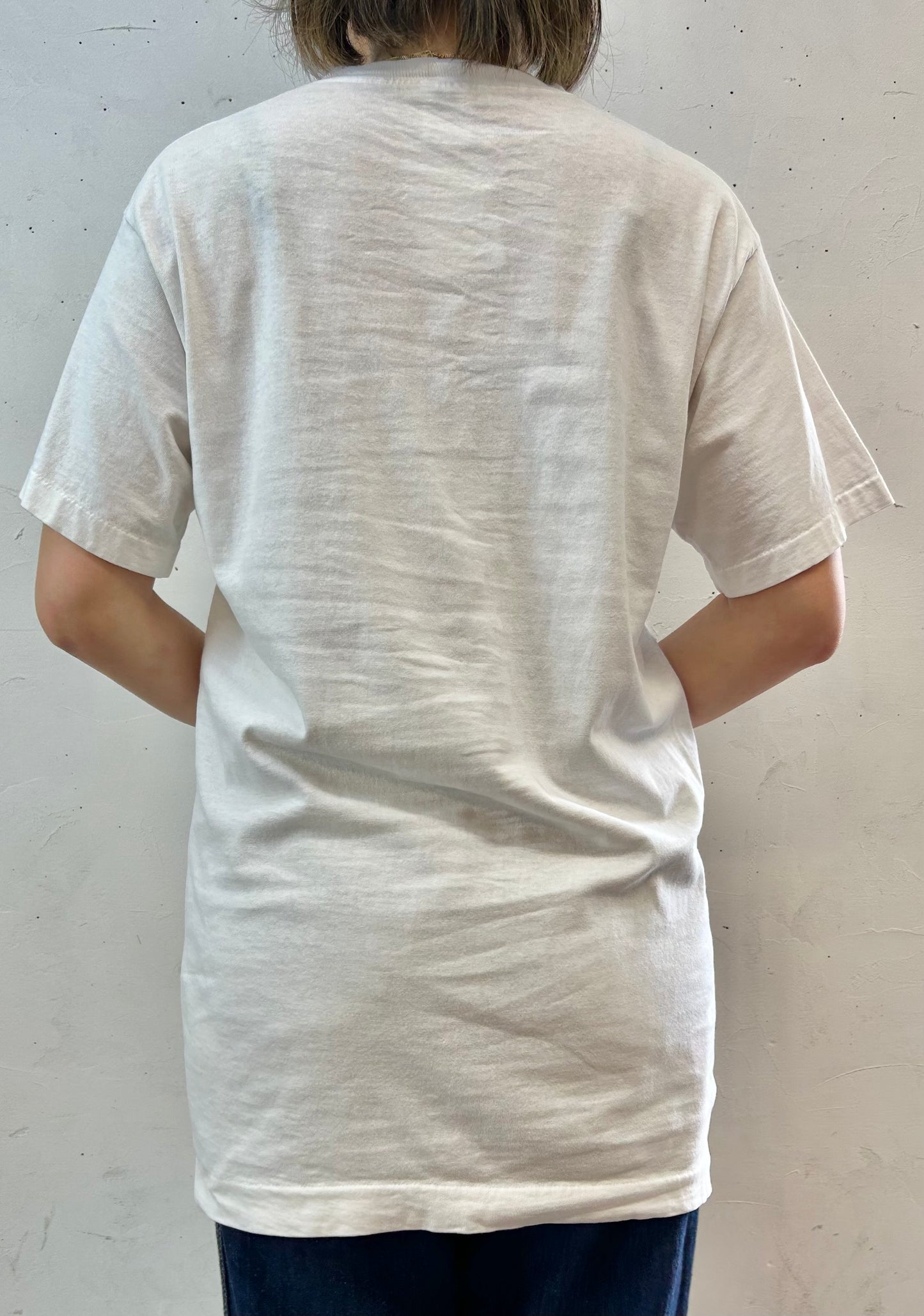 ’90s Vintage T-Shirt 〜FRUIT OF THE LOOM〜 [E27221]