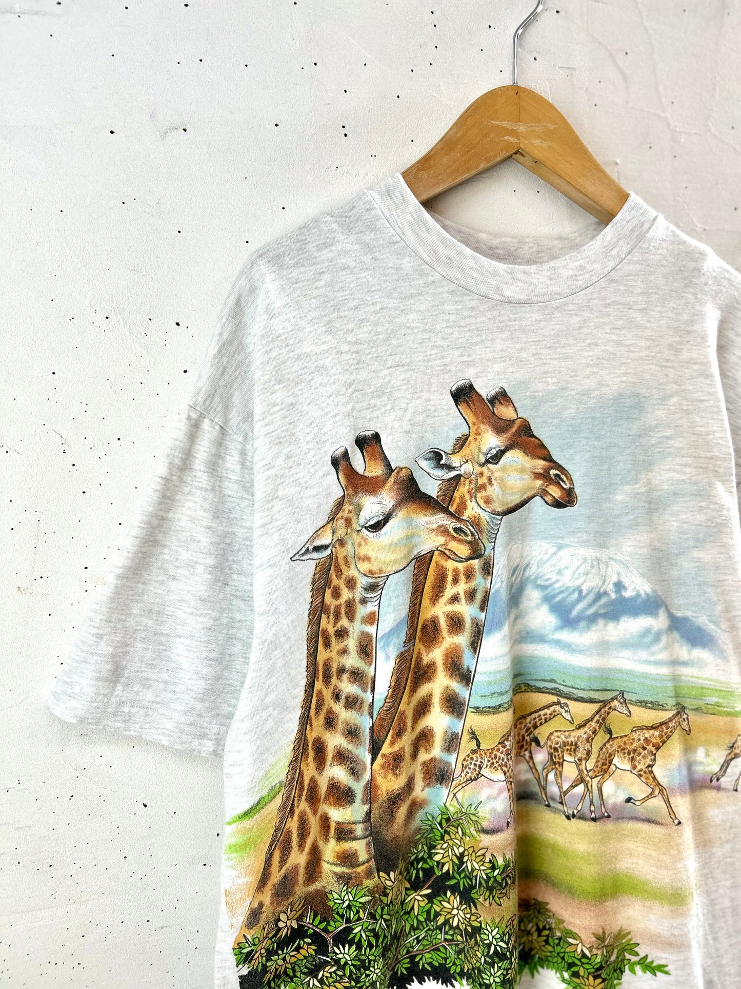 '90sVintage T-shirt 〜Hanes〜 [G30751]