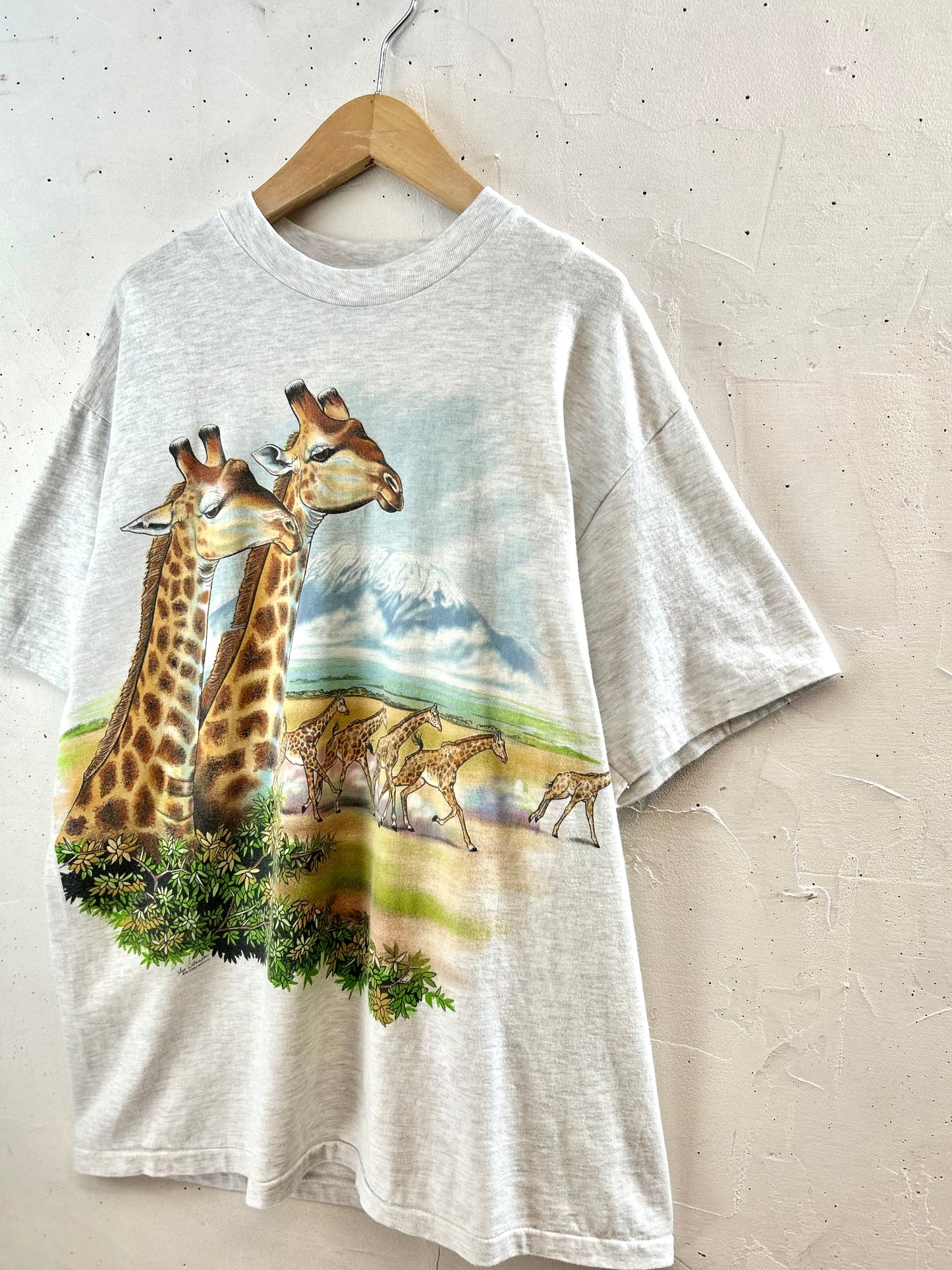 '90sVintage T-shirt 〜Hanes〜 [G30751]