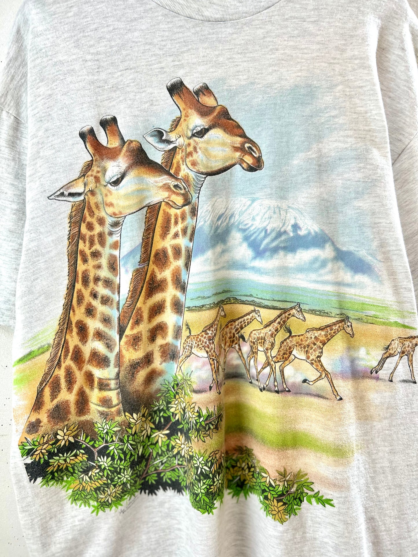 '90sVintage T-shirt 〜Hanes〜 [G30751]