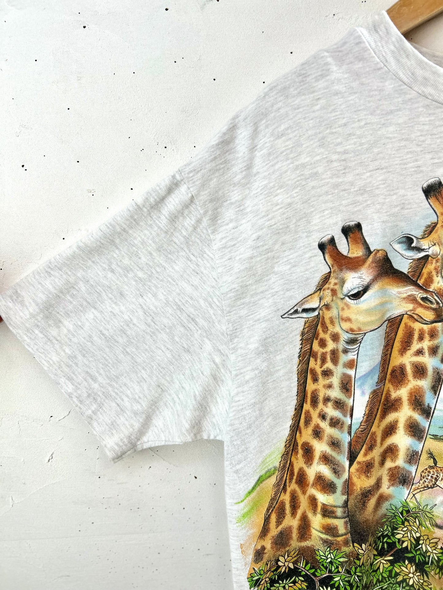 '90sVintage T-shirt 〜Hanes〜 [G30751]