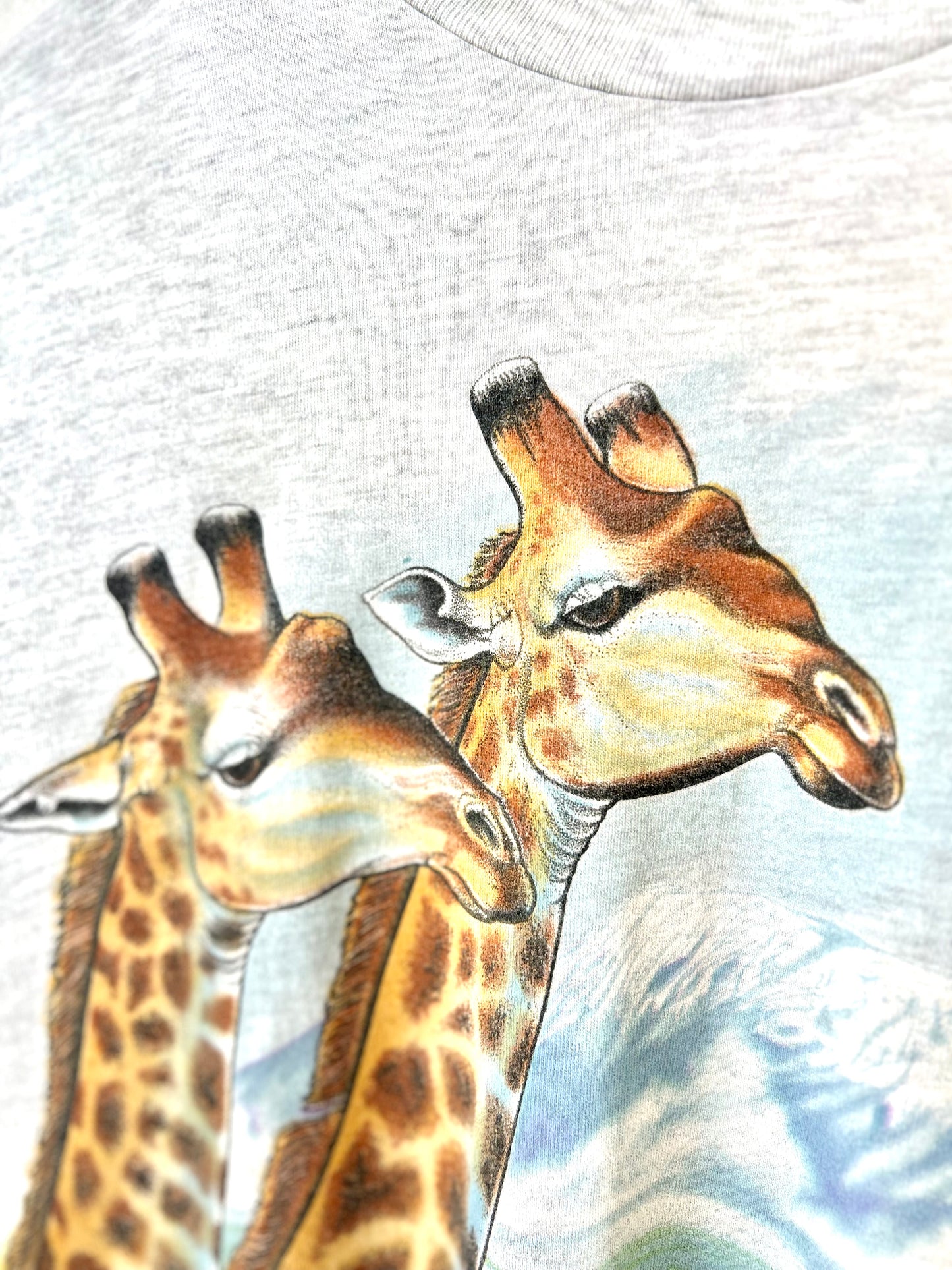 '90sVintage T-shirt 〜Hanes〜 [G30751]