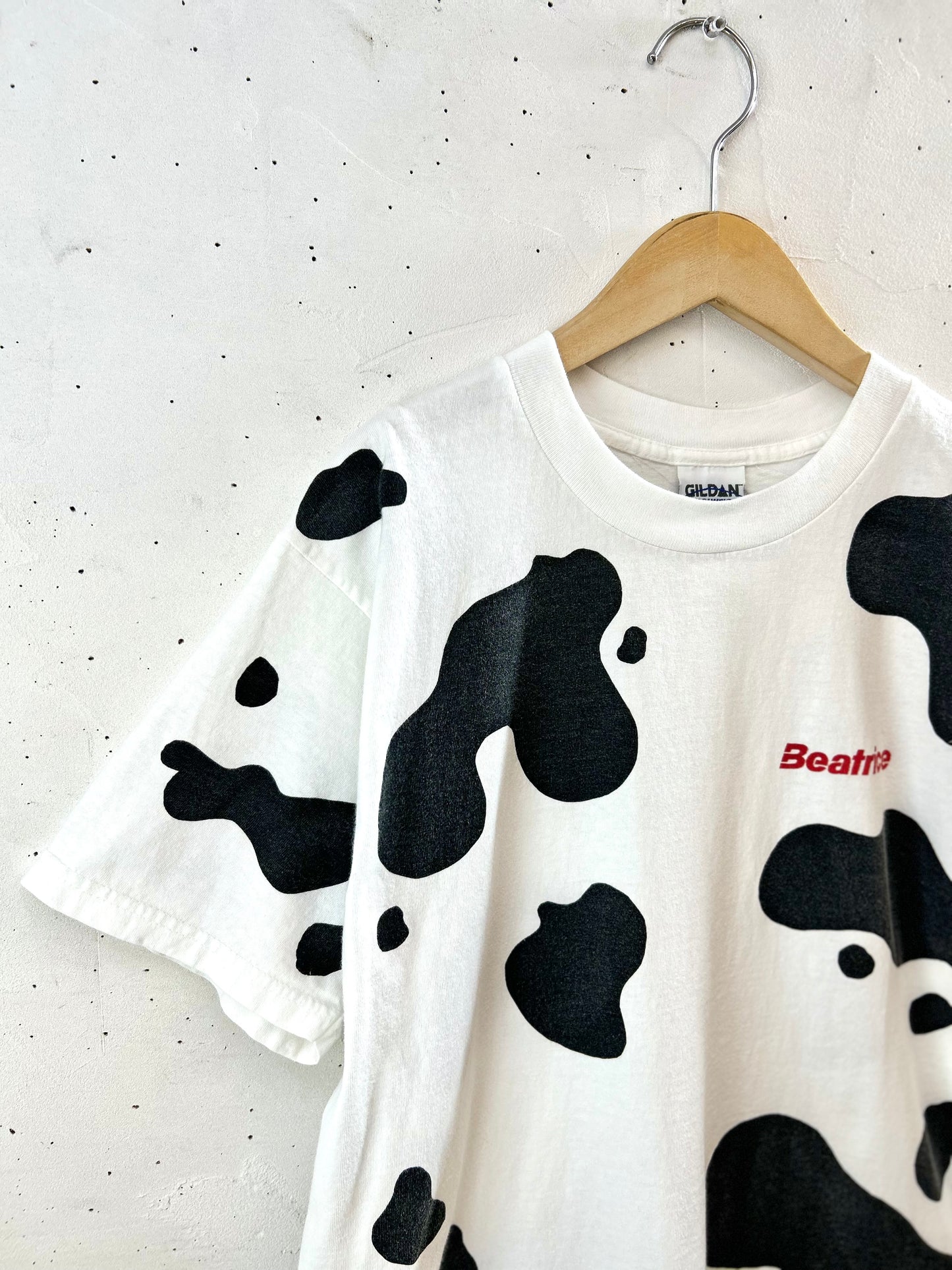 Vintage T-Shirt 〜GILDAN〜 [G30748]