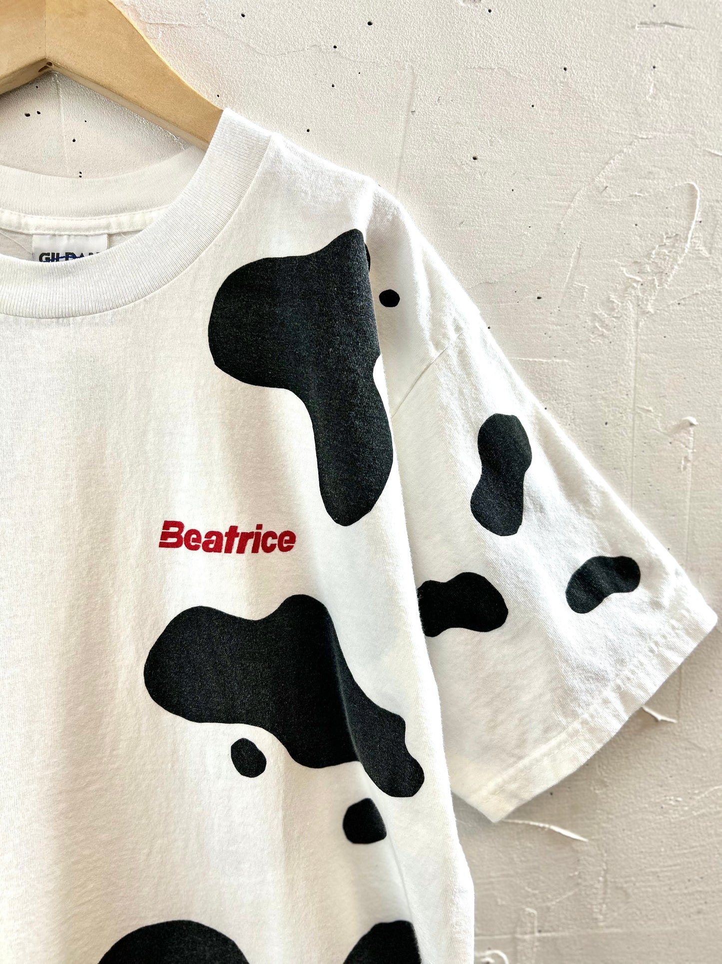 Vintage T-Shirt 〜GILDAN〜 [G30748]